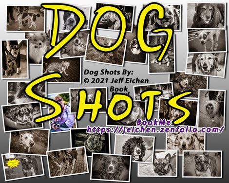 &quot;Dog Shots&quot; A COVID-19 Safe Pet Photo Session