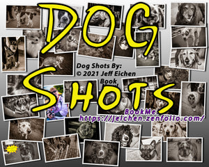 "Dog Shots" A COVID-19 Safe Pet Photo Session